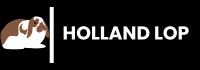 Holland Lop Breed