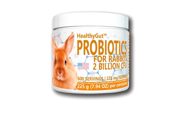 The Role of Prebiotics for Digestive Health