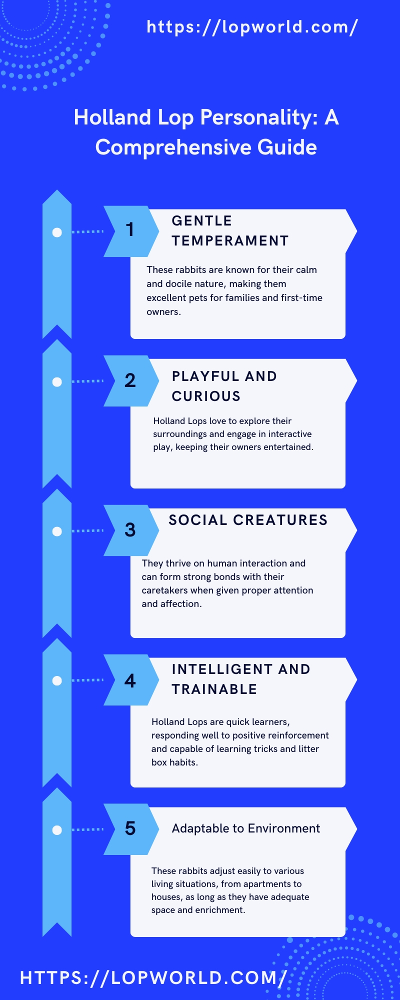 Holland Lop Personality Infographic